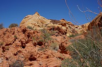 161_DSC01459.jpg