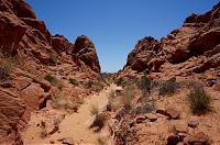 162_DSC01460.jpg