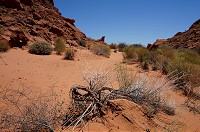 167_DSC01473.jpg