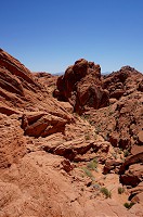171_DSC01482.jpg