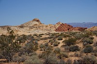 180_DSC01501.jpg