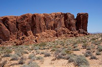 193_DSC01541.jpg