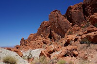 196_DSC01547.jpg