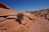 208_DSC01562.jpg