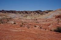 218_DSC01578.jpg