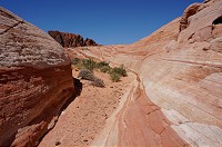 234_DSC01601.jpg