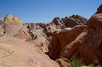 241_DSC01619.jpg