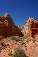 247_DSC01631.jpg
