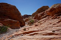260_DSC01651.jpg