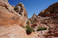 263_DSC01655.jpg