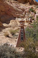 269_DSC01661.jpg