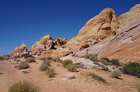 270_DSC01663.jpg