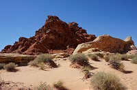 272_DSC01666.jpg