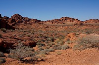 282_DSC01685.jpg