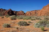 288_DSC01697.jpg