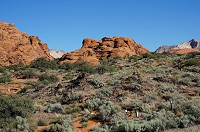 293_DSC01719.jpg