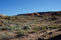 295_DSC01721.jpg