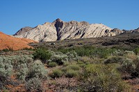 299_DSC01731.jpg