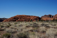307_DSC01736.jpg