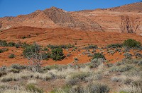 309_DSC01738.jpg