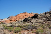 310_DSC01740.jpg