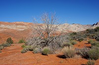 312_DSC01742.jpg