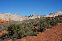 315_DSC01744.jpg