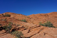 321_DSC01752.jpg