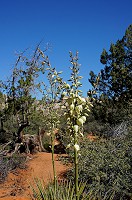 322_DSC01754.jpg