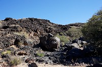 329_DSC01771.jpg