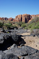 330_DSC01772.jpg
