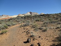 331_IMG_0316.jpg