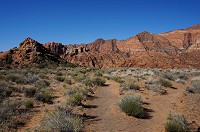 334_DSC01778.jpg