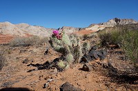 335_DSC01781.jpg