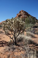 336_DSC01783.jpg