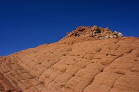 338_DSC01784.jpg