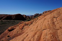 341_DSC01787.jpg