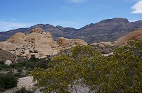 735_DSC02552.jpg