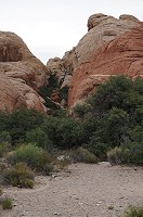 742_DSC02563.jpg