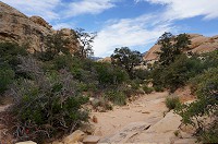 748_DSC02575.jpg