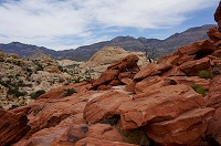 754_DSC02584.jpg