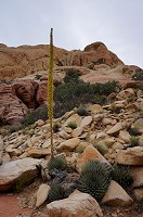 755_DSC02588.jpg