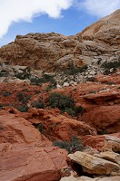 756_DSC02589.jpg