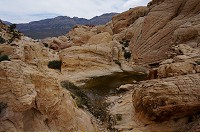 763_DSC02604.jpg
