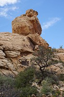 778_DSC02640.jpg