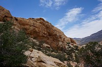 780_DSC02642.jpg