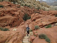 782_IMG_0963.jpg
