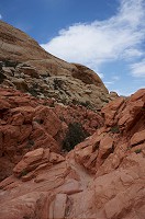 784_DSC02648.jpg