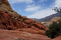 785_DSC02649.jpg