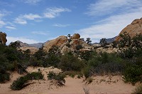 786_DSC02650.jpg